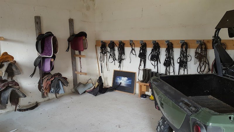 Espace Equestre Haras - Henson - photo 3