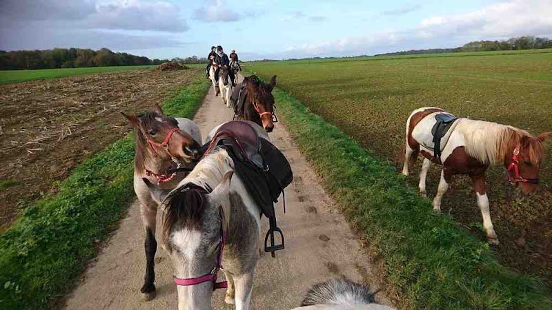 ferme équestre CREP NAOURS centre de randonnée équestre et pédestre picard - photo 3