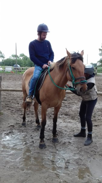 Poney Club du Marquenterre