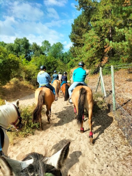 Poney Club du Marquenterre - photo 3