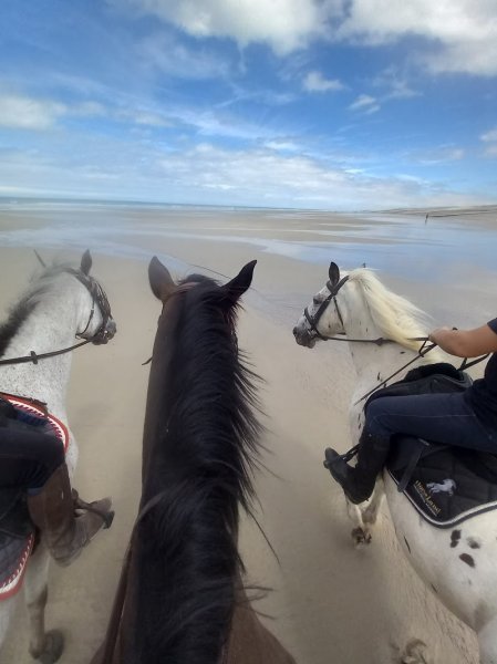 Centre équestre de Bouillancourt - photo 3