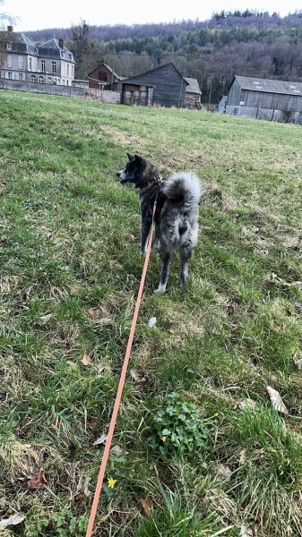 Pension de la Bresle - photo 2