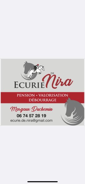 Écurie de Nira / pension pour chevaux Deauville - balnéothérapie - débourrage - gites - photo 2