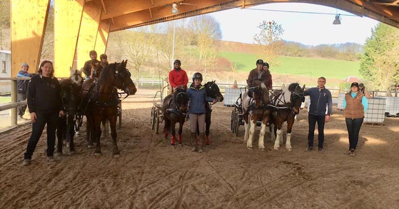Centre Equestre l'Entre Deux Prés - photo 3