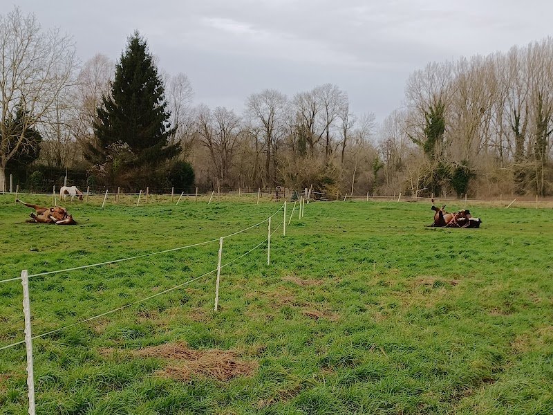 Ecuries Bois Carré - photo 1