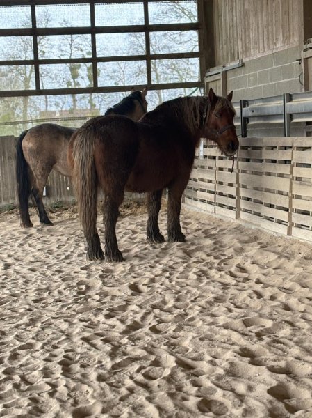 Ecurie des Grandes Plaines