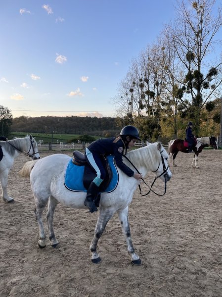 Haras des jonquilles
