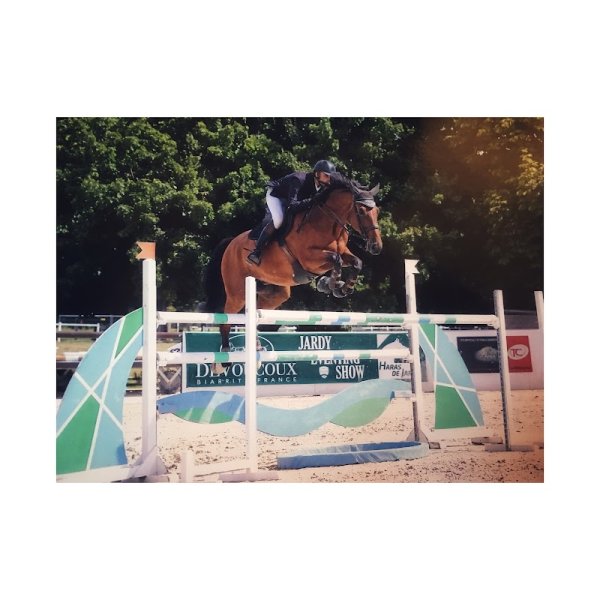 Les écuries du Quesney - photo 1