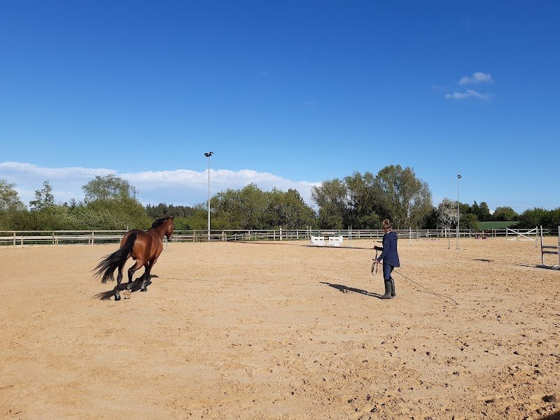 Les écuries du Quesney - photo 2