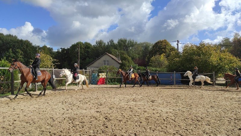 Poney Club et Centre Equestre des Mesnuls - photo 2