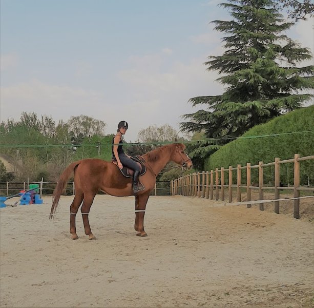 Poney Club et Centre Equestre des Mesnuls - photo 3
