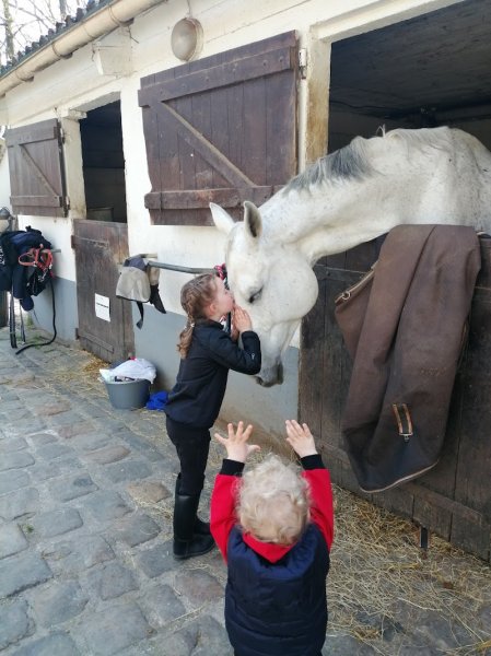 Les Écuries de Jumili - photo 2