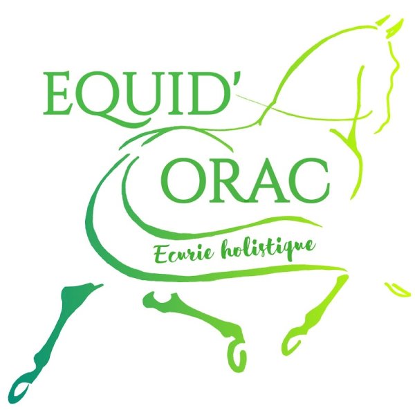 Equid'Orac - Ecurie Holistique - photo 3