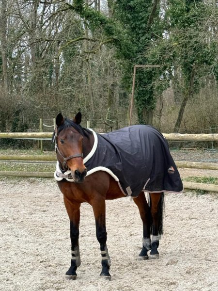 Haras de Folleville - photo 1