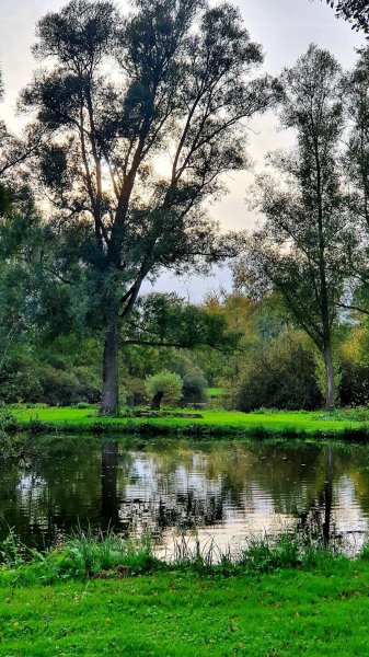 Domaine de la Canardiere - photo 3