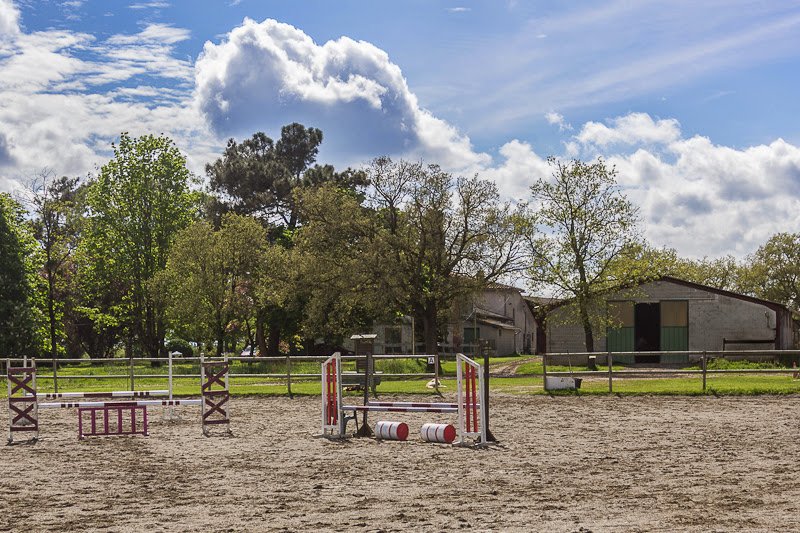 Ecurie de Souleris - photo 3