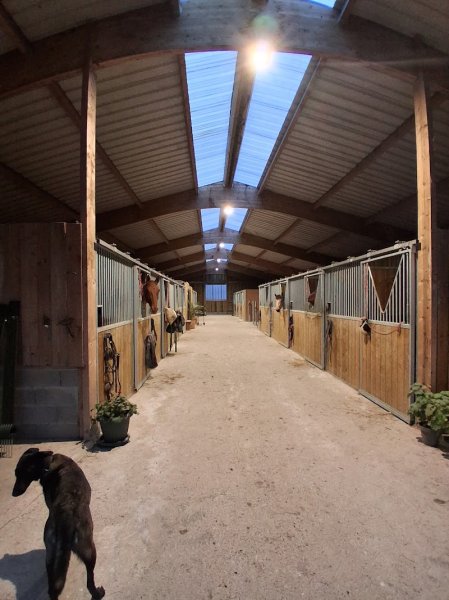 SCEA ÉCURIE JUMP STAR