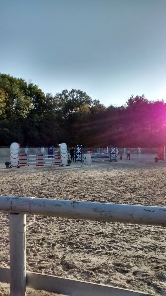 Haras de Maison Blanche - photo 2