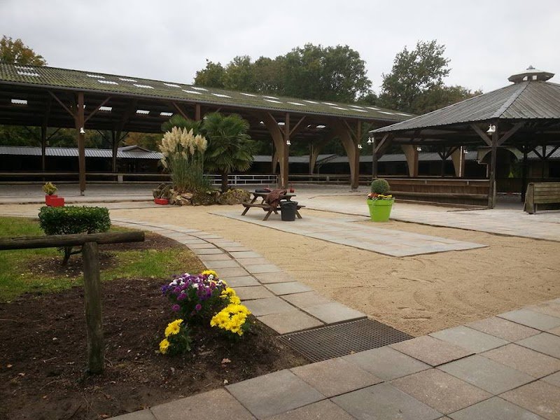 Haras de la Forêt ( Seine et Marne 77 ) - photo 2