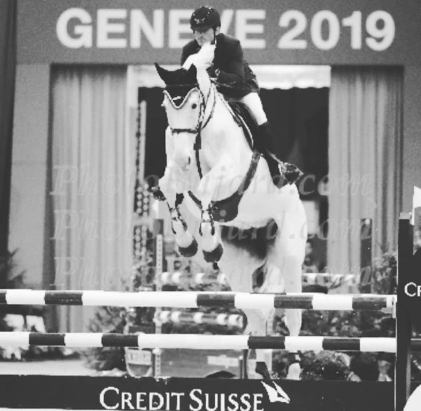 Ecurie Mickaël Patour - photo 2