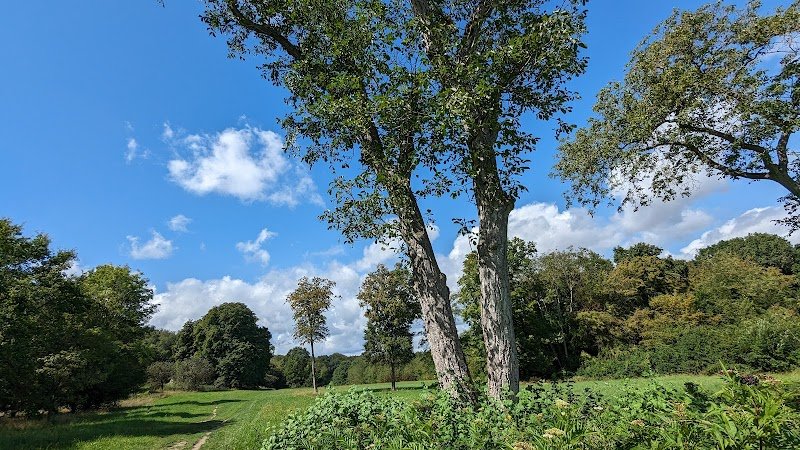 Centre Equestre Bois Fleuri - photo 3