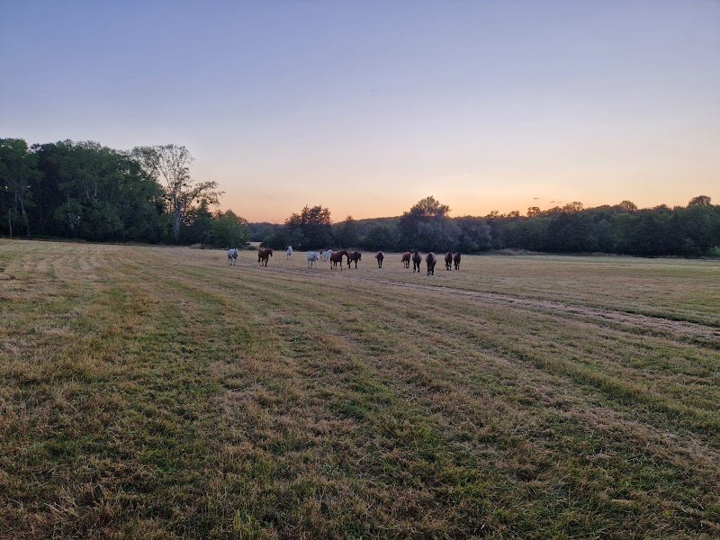 Ecuries de la Marsange - photo 1