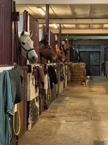 Ecuries de la Marsange - photo 3