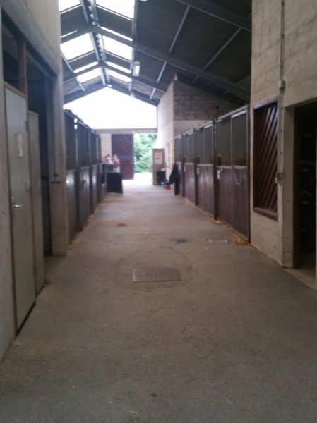 Cercle Hippique Saint Georges - photo 2