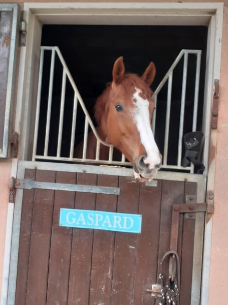 Cercle Hippique Saint Georges - photo 3