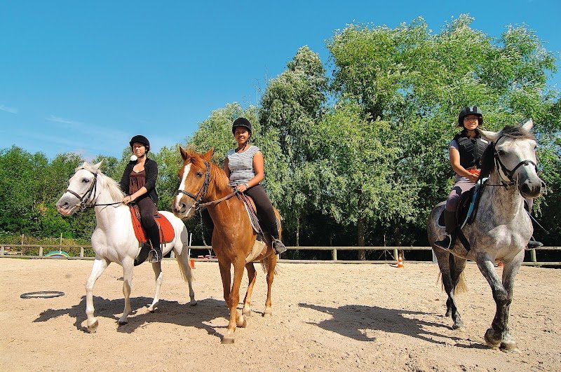 Centre équestre de Vaires-Torcy - photo 2