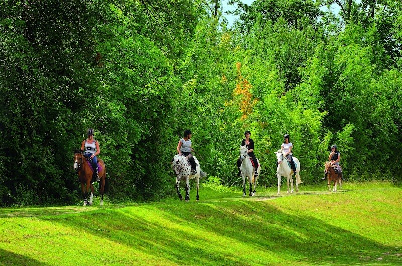Centre équestre de Vaires-Torcy - photo 3