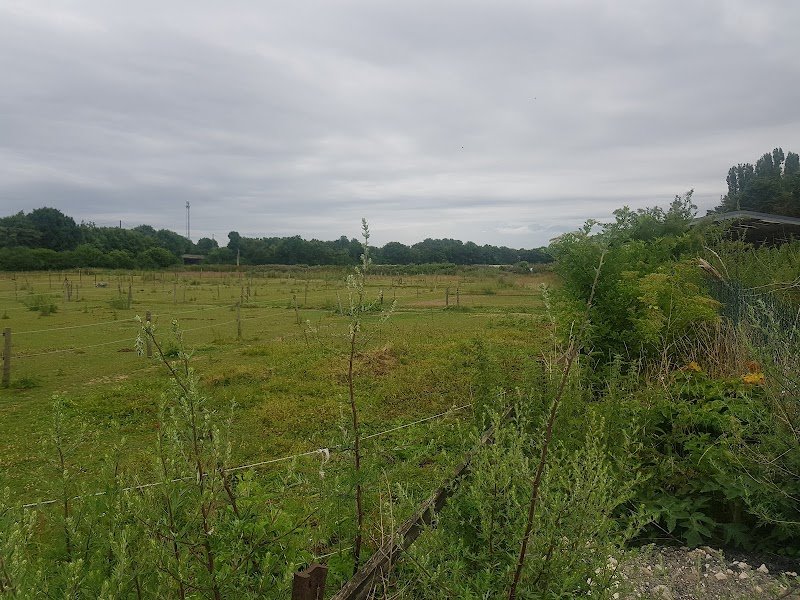 Les Ecuries de Brie - photo 2