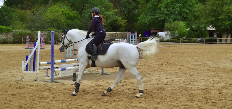 Les Ecuries de la Faisanderie - photo 1