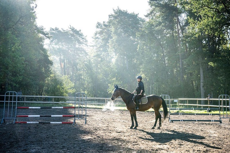 Centre Équestre Arbonne Équitation - photo 1