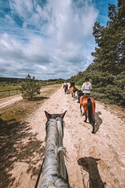 Centre Équestre Arbonne Équitation - photo 2