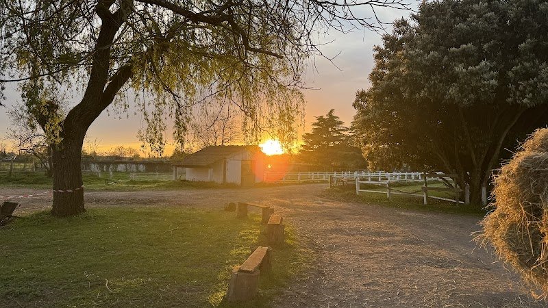Centre équestre Ryan’s Farm - Western & Classique - photo 1