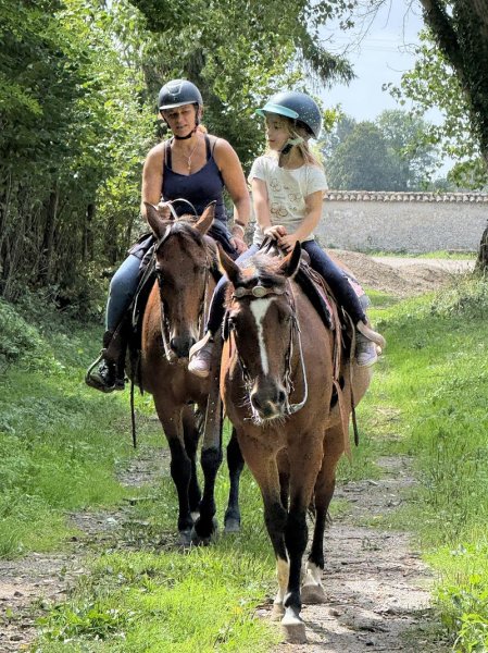 Centre équestre Ryan’s Farm - Western & Classique - photo 2