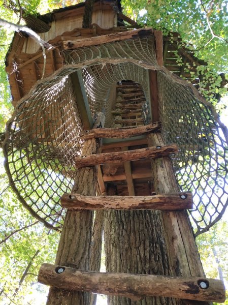 Ferme Equestre de Graville - photo 2