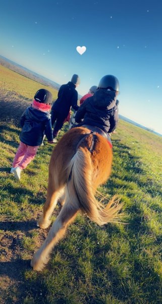 Ecurie de Servolles - photo 2