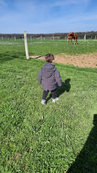 Ecurie de Servolles - photo 3