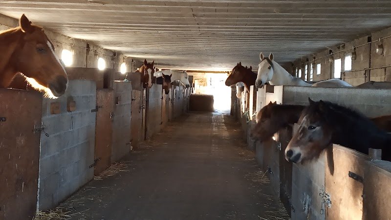 Ecurie des Vignes aux bonshommes - photo 1