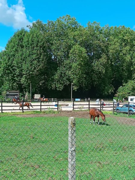 CENTRE EQUESTRE DE LA FERTE SOUS JOUAR - photo 2