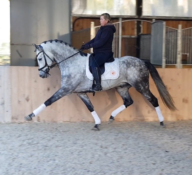 Domaine des Ecuries de la source de vailley - photo 1