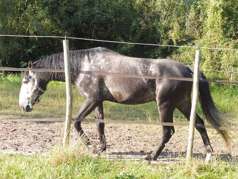 Domaine des Ecuries de la source de vailley - photo 3