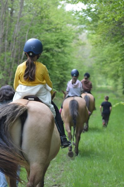 Enowood | Pension Ecurie Active | Cours Enfants (+8 ans) et Adultes | Balade Cheval | Séminaires | Team Building - photo 3