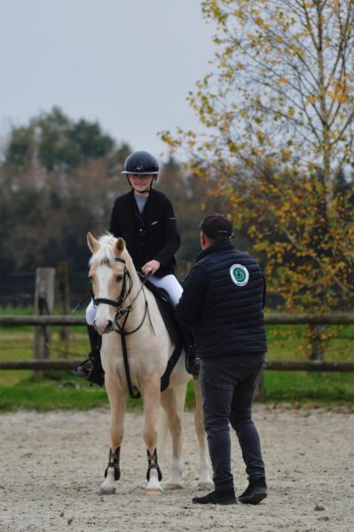 LES ECURIES CAROLE ET THIERRY DESCAMPS - photo 2
