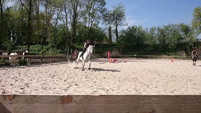 ecuries du bois d'automne - centre équestre 77 - photo 3