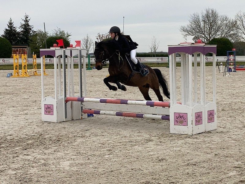 Ecurie de Gravoteau - photo 1