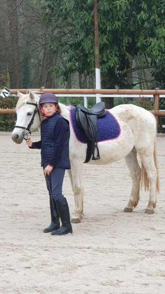 Ecurie de Gravoteau - photo 2