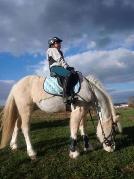 Ecurie de Gravoteau - photo 3